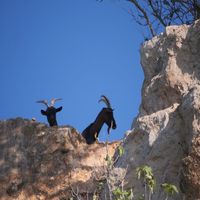 Photo de France - La randonnée du lac des Olivettes